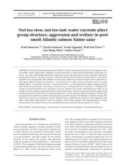 Not too slow, not too fast: water currents affect group structure