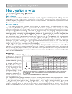 Fiber Digestion in Horses - Midwest Forage Association