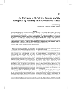 Chicha and the Energetics of Feasting in the
