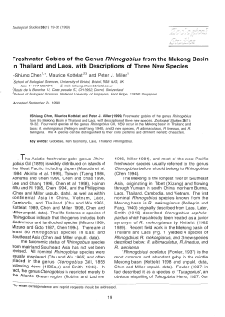 Freshwater Gobies of the Genus Rhinogobius from the Mekong