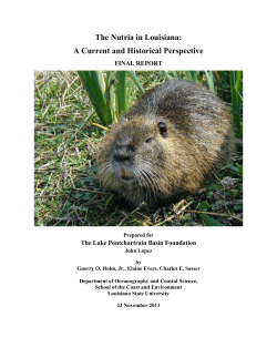The Nutria in Louisiana - Lake Pontchartrain Basin Foundation