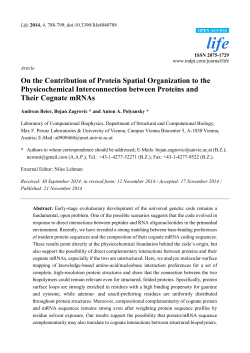 On the Contribution of Protein Spatial Organization to the
