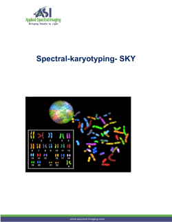 Spectral-karyotyping