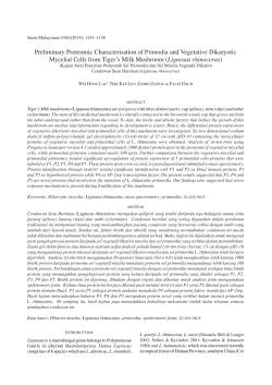 Preliminary Proteomic Characterisation of Primodia and Vegetative