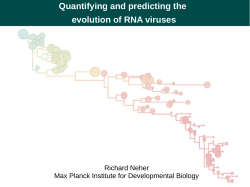 Quantifying and predicting the evolution of RNA viruses