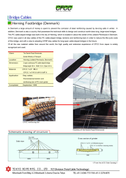 Herning Footbridge(Denmark)