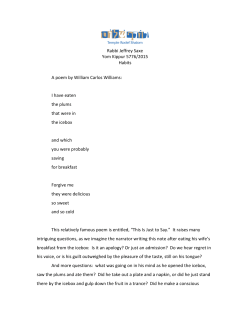 Rabbi Saxe - Temple Rodef Shalom