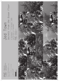 Jed Town Catalogue