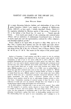 HABITAT AND HABITS OF THE DWARF JAY, APHELOCOMA NANA