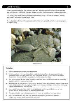Land insects - Department of Conservation