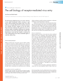 The cell biology of receptor-mediated virus entry