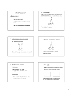 Infant Perception I. Basic Vision A. Limitations