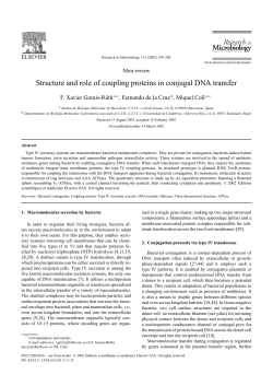 Structure and role of coupling proteins in conjugal DNA
