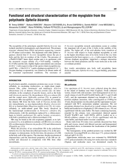 Functional and structural characterization of the myoglobin from the