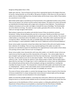 Dangerous Biting Spiders Rare in Ohio Spiders get a bad rap. They