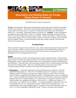 Description and Seeding Rates for Forage Plants Grown in Vermont