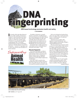 DNA Fingerprinting