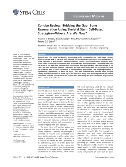 Concise Review: Bridging the Gap: Bone Regeneration Using