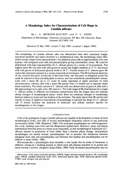 A Morphology Index for Characterization of Cell Shape in Candda