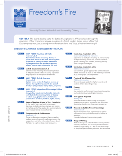 Freedom`s Fire - Mondo Publishing