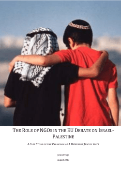 the role of ngos in the eudebate on israel- palestine