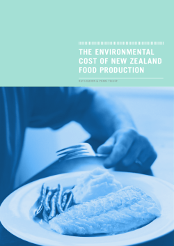 The Environmental Cost of New Zealand Food Production
