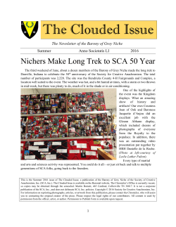 The Clouded Issue - The Barony of Grey Niche