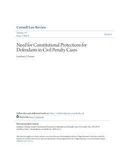 Need for Constitutional Protections for Defendants in Civil Penalty