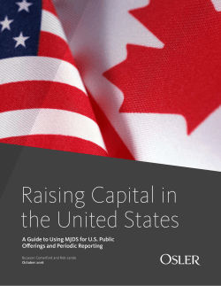 Raising Capital in the United States