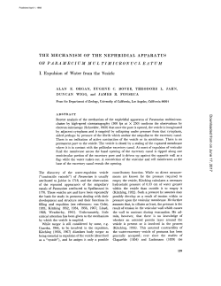 THE MECHANISM OF THE NEPHRIDIAL APPARATUS OF
