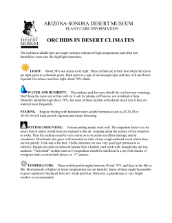 orchids in desert climates - Arizona