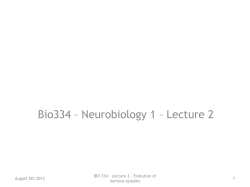 Evolution of nervous systems Bio334 &ndash; Neurobiology 1