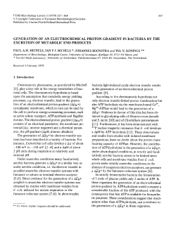 Generation of an electrochemical proton gradient in bacteria by the