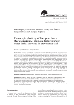 Phenotypic plasticity of European beech (Fagus sylvatica L