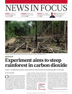 Experiment aims to steep rainforest in carbon dioxide