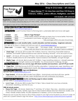 the Class Descriptions