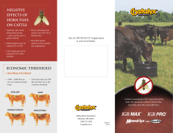 ECONOMIC THRESHOLD NEGATIVE EFFECTS OF HORN FLIES