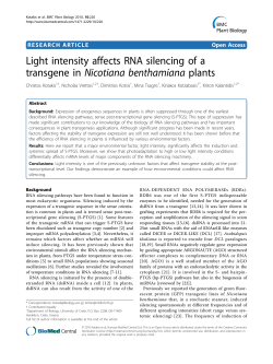 Light intensity affects RNA silencing of a - IMBB