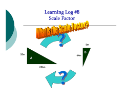 Learning Log #8 Scale Factor