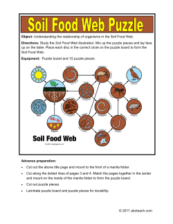 Puzzle: Soil Food Web