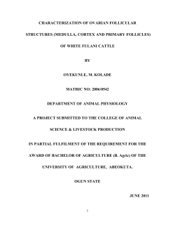 of white fulani cattle by oyekunle, m.
