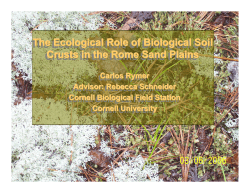 The Ecological Role of Biological Soil Crusts in the