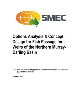 Options analysis and concept design for fish passage for weirs of the