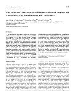 ELAV protein HuA (HuR) can redistribute