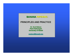 banana ripening: principles and practice