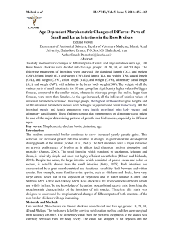 Age-Dependent Morphometric Changes of Different Parts of Small