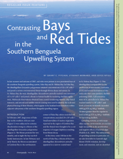in the southern Benguela upwelling system