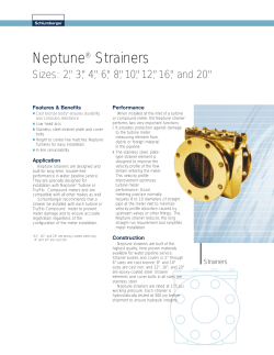 Neptune&reg; Strainers - Follin Flo