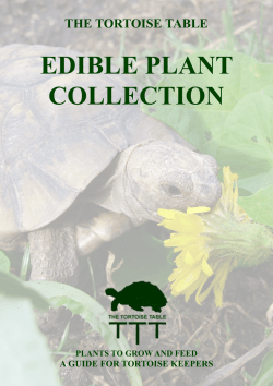 Edible Plant Collection