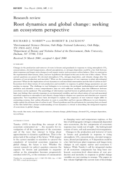 Root dynamics and global change
